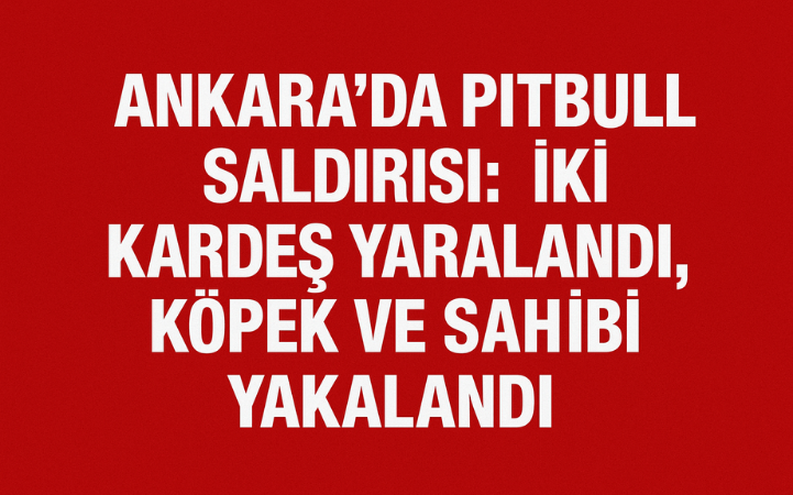 Ankara’da Pitbull Saldırısı: İki Kardeş Yaralandı, Köpek ve Sahibi Yakalandı