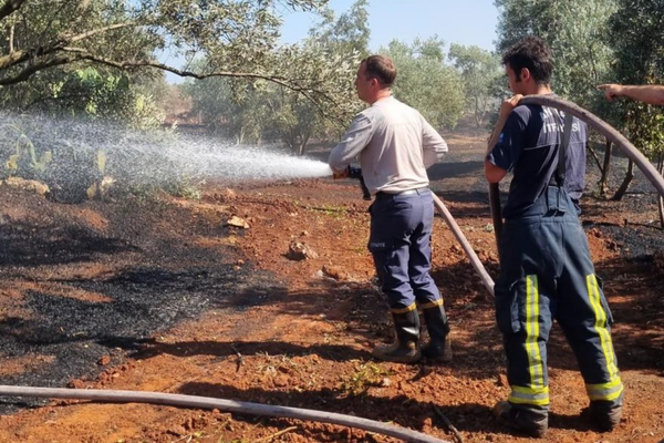 Antalya'da orman yangınlarına karşı büyükşehir ekipleri dört ilçede görev yaptı