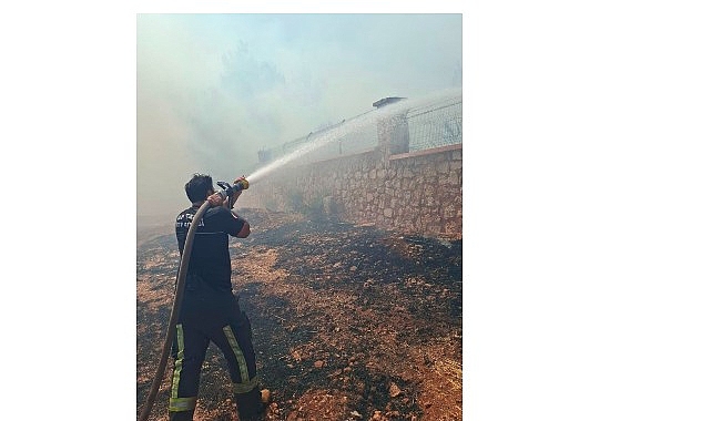 Büyükşehir İtfaiyesi'nden orman yangınına müdahale   