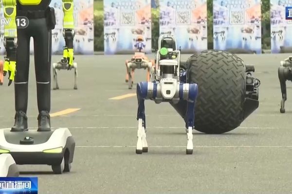 CMG’in etkinliğinde 300'den fazla robot izleyicilerle buluşacak