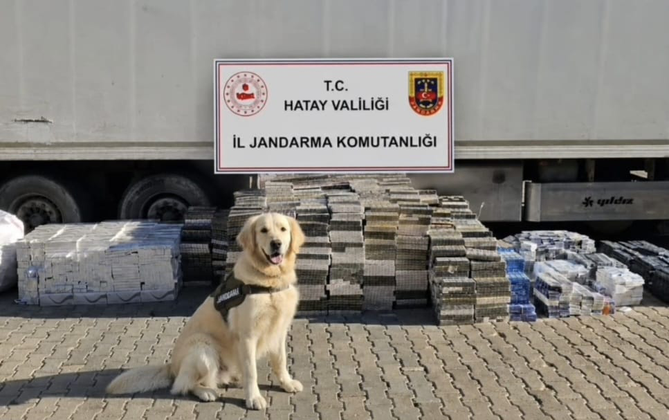 Kırıkhan'da kaçakçılık operasyonu