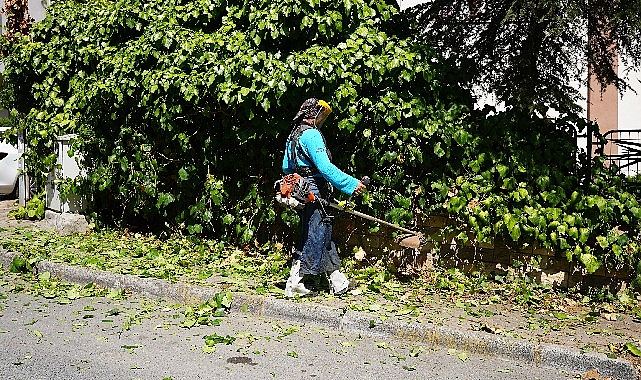 Maltepe'de çevre düzenlemesi aralıksız sürüyor