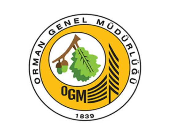 OGM: Antalya ve Adana’da yangınlarla mücadele sürüyor