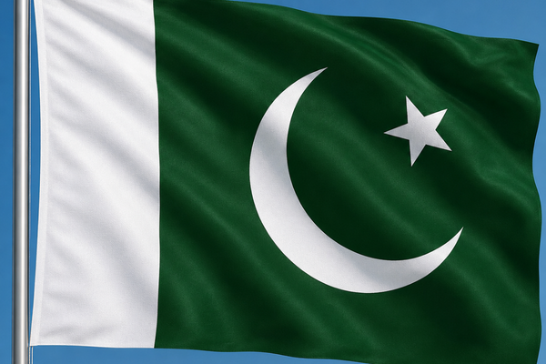 Pakistan Dışişleri Bakanlığı, Hindistan Savunma Bakanı'nın açıklamalarını kınadı