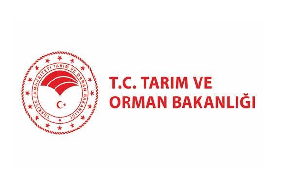 Seydikemer’deki yangına havadan ve karadan müdahale ediliyor