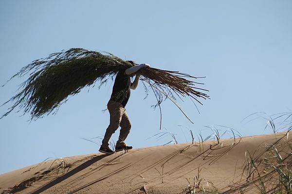 Şi Cinping’den tarihten geleceğe uzanan mesajlar