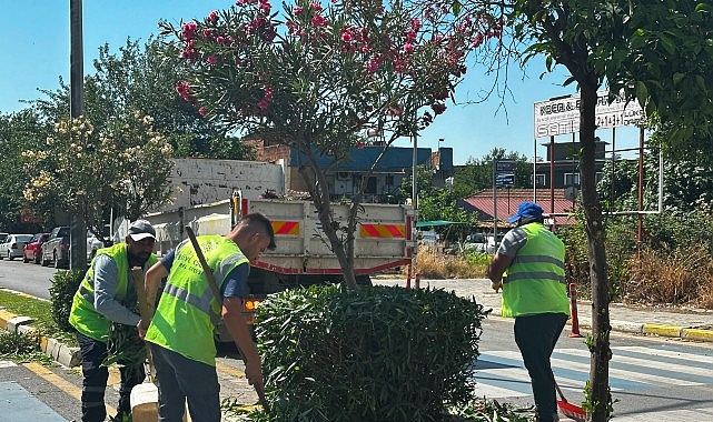 Tepecik Mahallesi Muhtarından Başkan Çerçioğlu'na Hizmet Teşekkürü