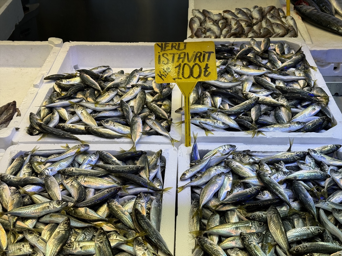 Trabzon'da hamsi ve istavrit 100 liradan satılıyor Trabzon'da hamsi ve istavrit 100 liradan satılıyor