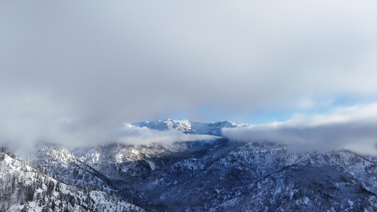 Türkiye’nin biyosfer rezervi alanı Camili Havzası beyaz örtü ile kaplandı