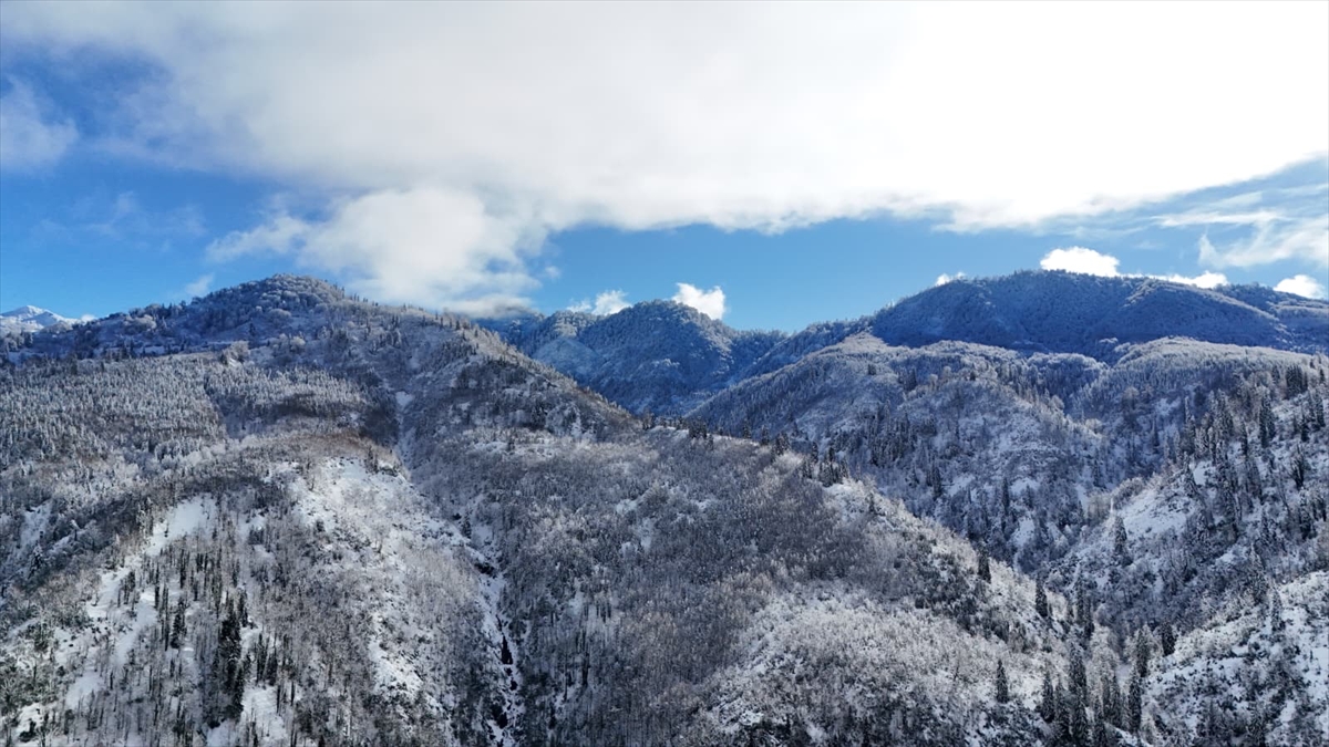 Türkiye’nin biyosfer rezervi alanı Camili Havzası beyaz örtü ile kaplandı