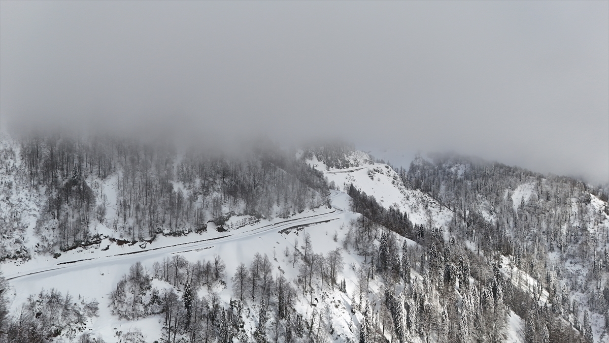Türkiye’nin biyosfer rezervi alanı Camili Havzası beyaz örtü ile kaplandı