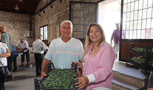 Urla'da üreticiye büyük destek: 120 bin kışlık sebze fidesi dağıtıldı
