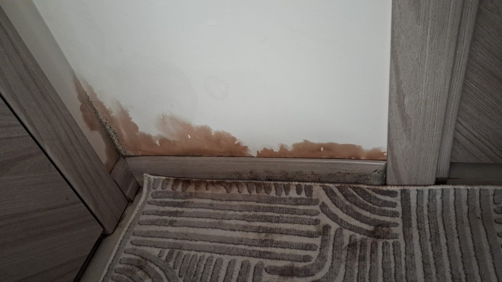 Apartman dairelerinin her yerinden su sızmaya başladı
Apartman dairelerinin her yerinden su sızmaya başladı