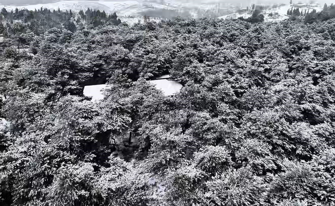 Başakşehir Şamlar Tabiat Parkı beyaza büründü
Başakşehir Şamlar Tabiat Parkı beyaza büründü