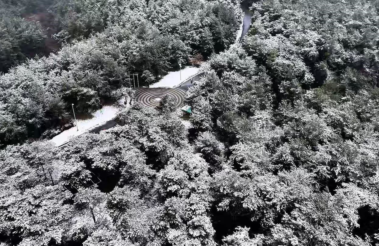 Başakşehir Şamlar Tabiat Parkı beyaza büründü
Başakşehir Şamlar Tabiat Parkı beyaza büründü