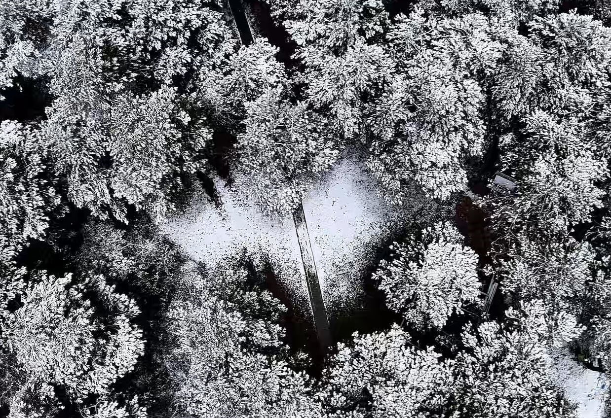 Başakşehir Şamlar Tabiat Parkı beyaza büründü
Başakşehir Şamlar Tabiat Parkı beyaza büründü