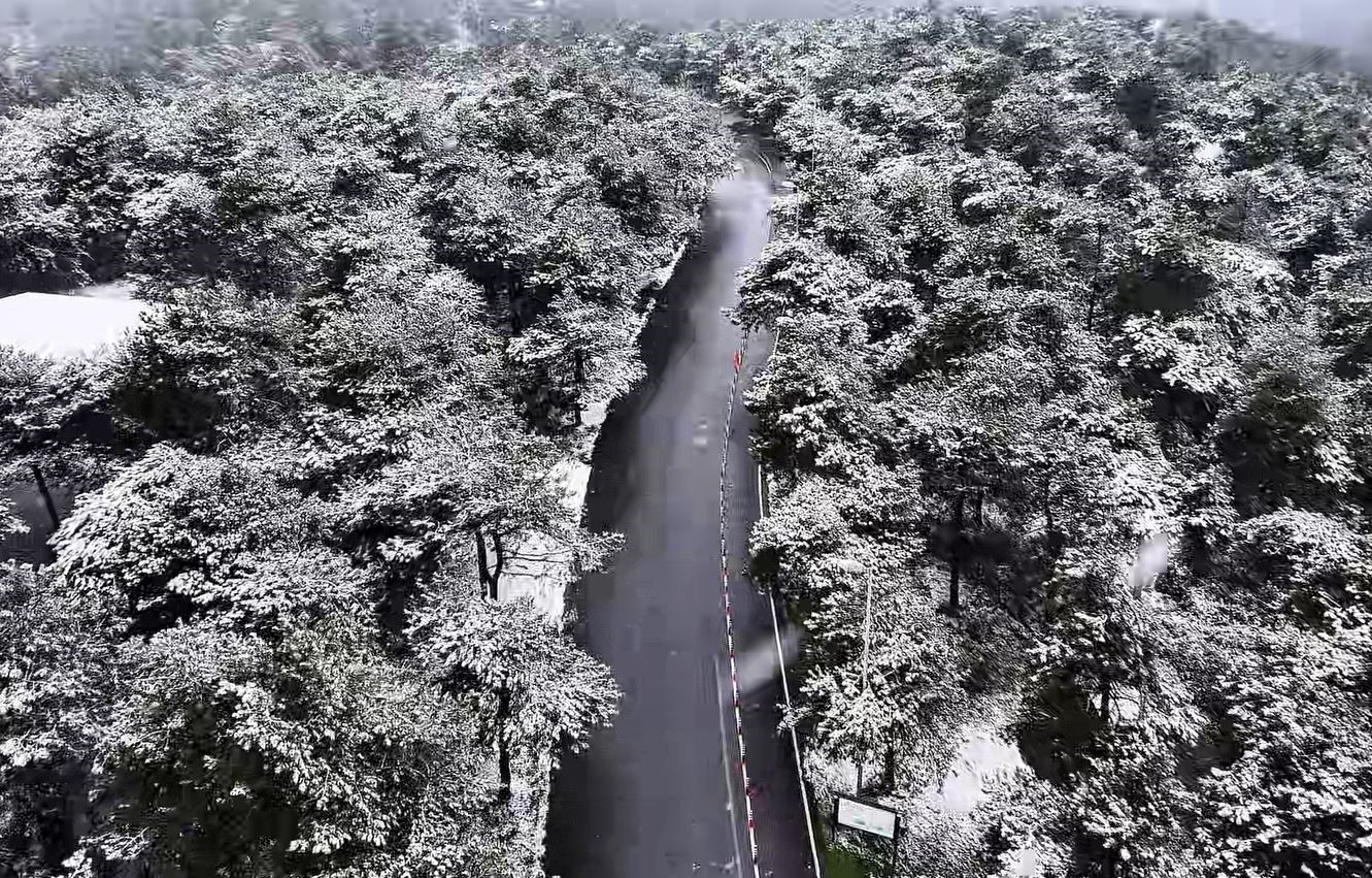 Başakşehir Şamlar Tabiat Parkı beyaza büründü
Başakşehir Şamlar Tabiat Parkı beyaza büründü
