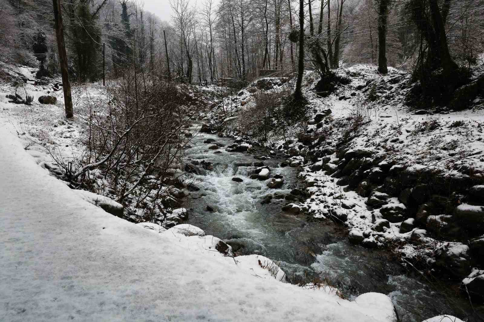 Beyaz örtü Sapanca Gölü’nü besleyen derelere can oldu
Beyaz örtü Sapanca Gölü’nü besleyen derelere can oldu