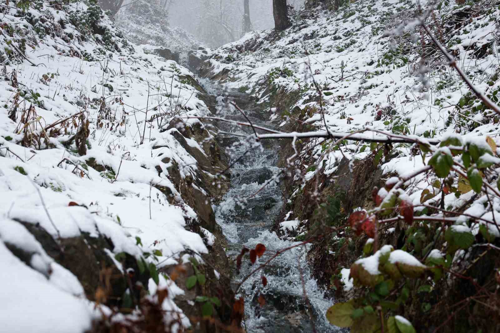Beyaz örtü Sapanca Gölü’nü besleyen derelere can oldu
Beyaz örtü Sapanca Gölü’nü besleyen derelere can oldu