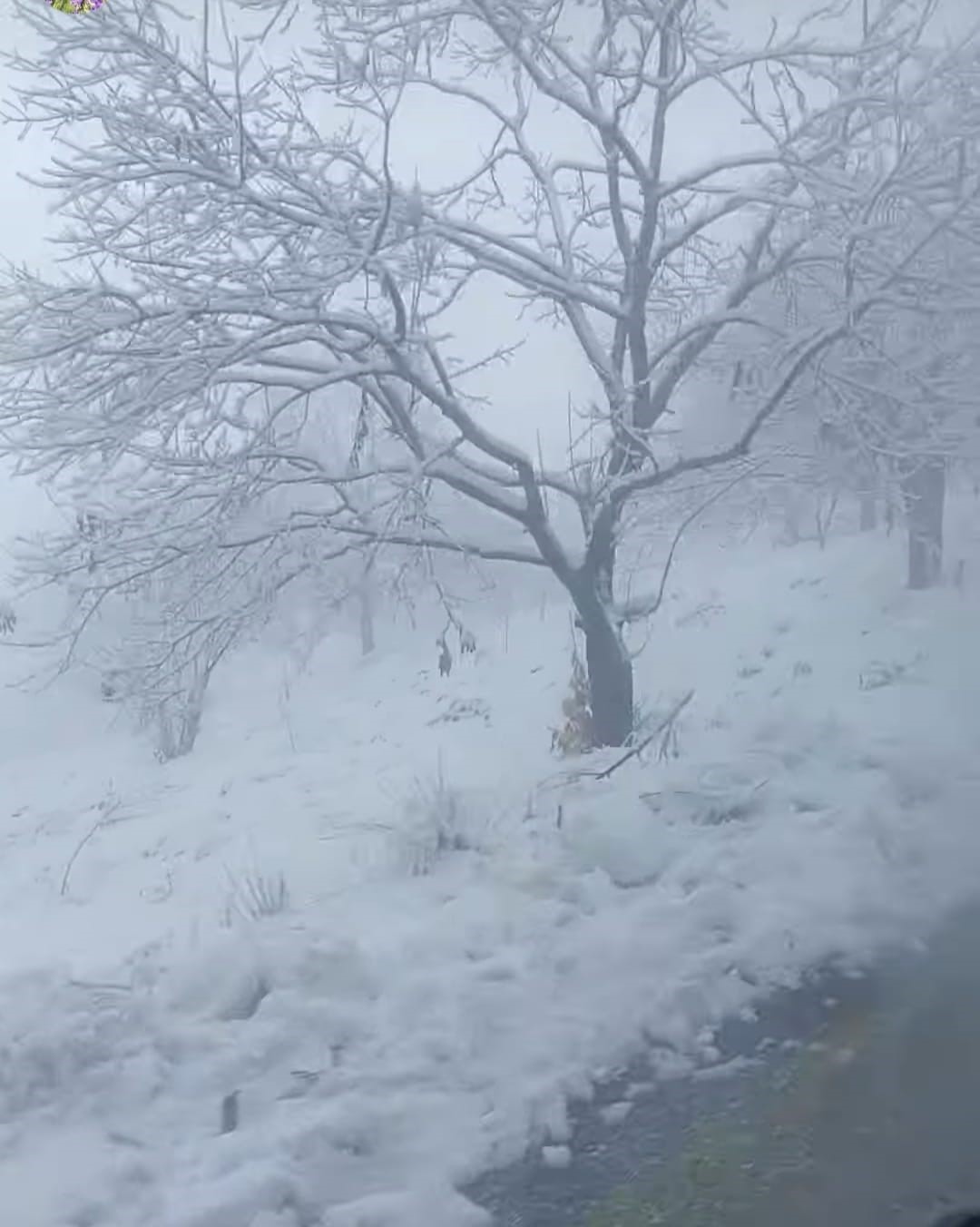Beyaz örtüyü gören Aydınlılar zirveye tırmandı
Beyaz örtüyü gören Aydınlılar zirveye tırmandı
