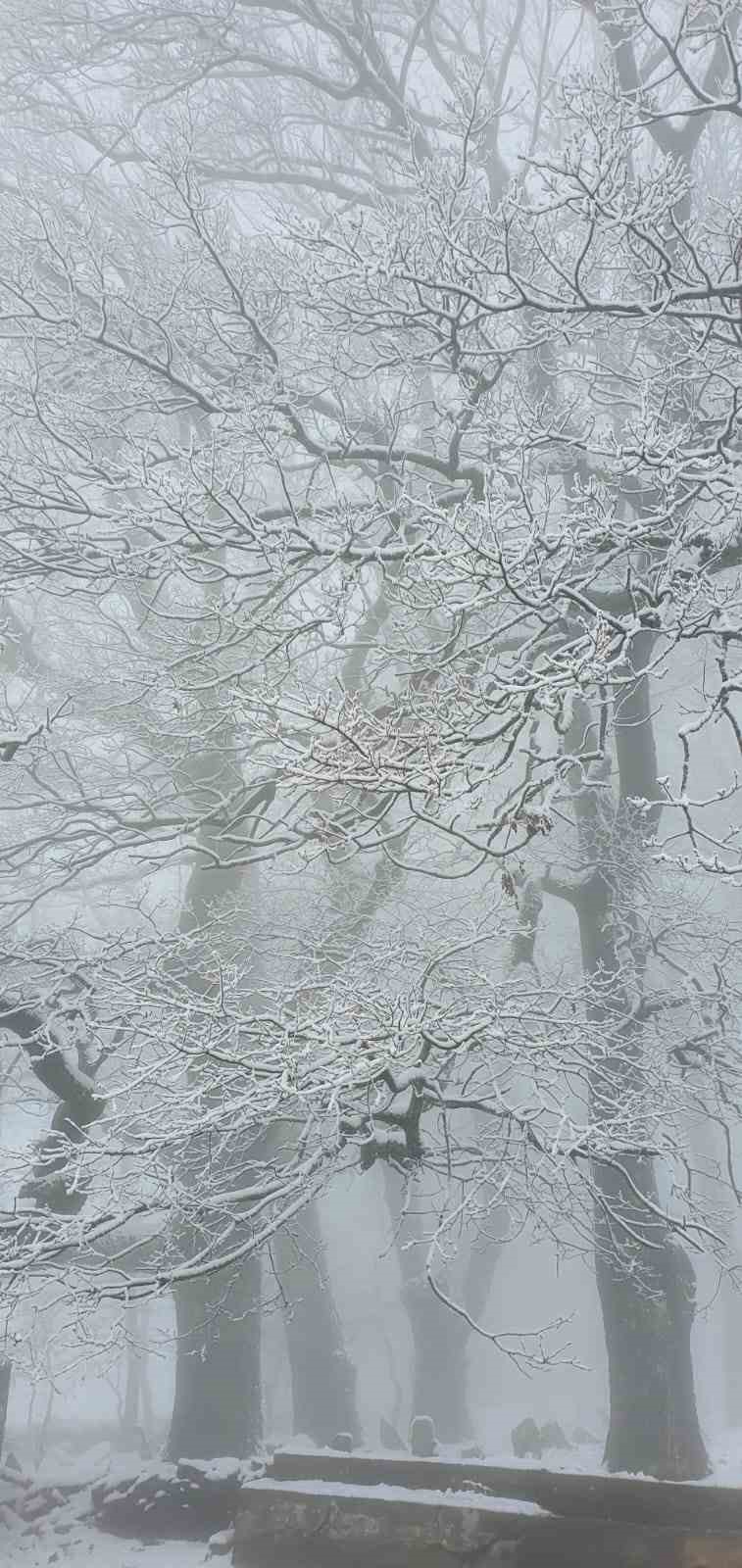 Beyaz örtüyü gören Aydınlılar zirveye tırmandı
Beyaz örtüyü gören Aydınlılar zirveye tırmandı
