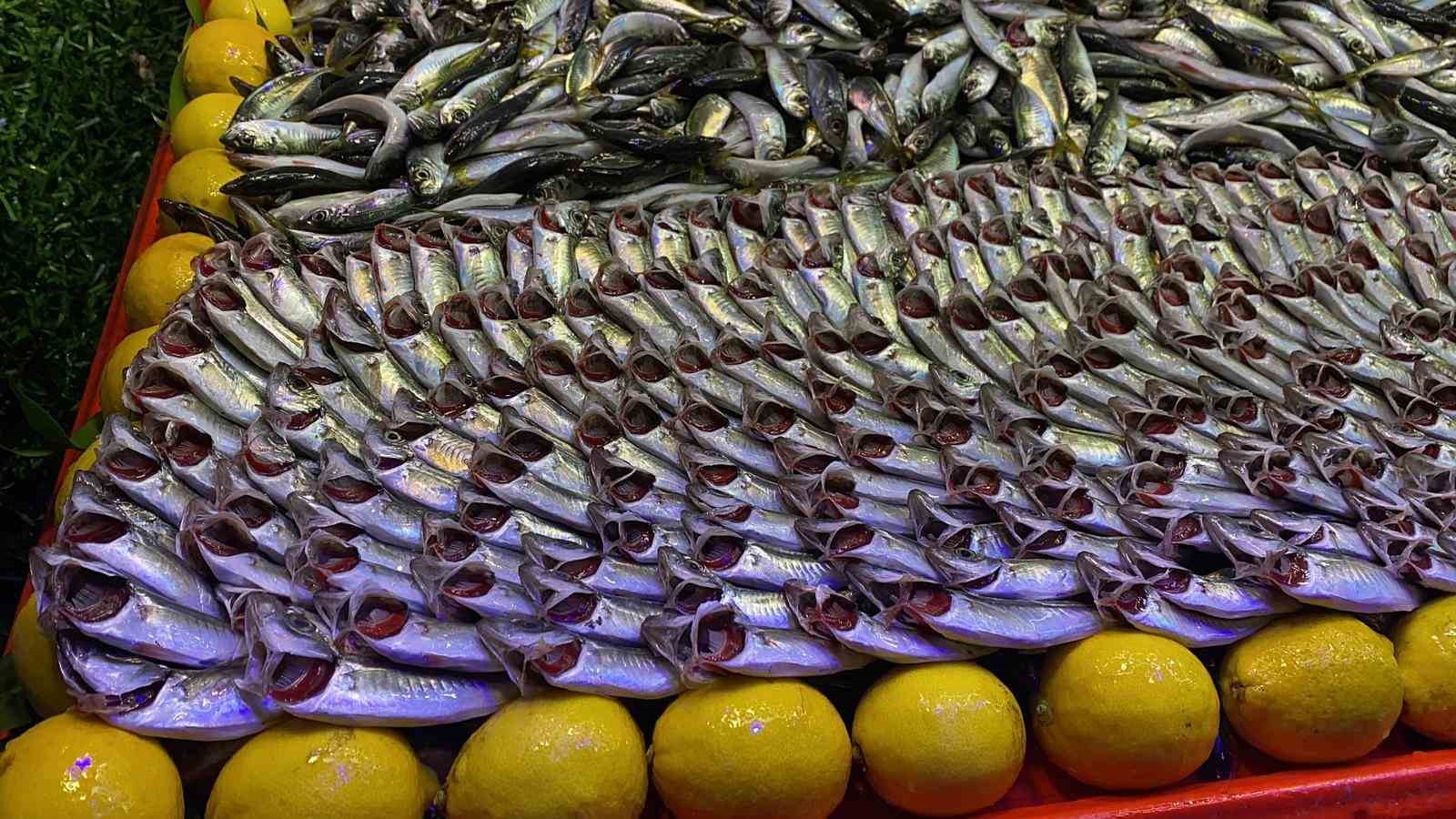 Bolu’da balık tezgahlarını fırtına vurdu
