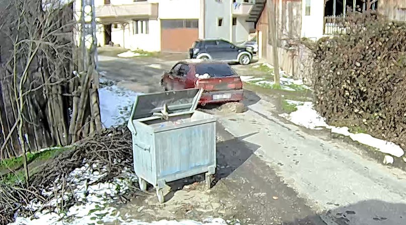 Bolu’da ezilen köpeğin röntgeninden 400 saçma çıktı:
