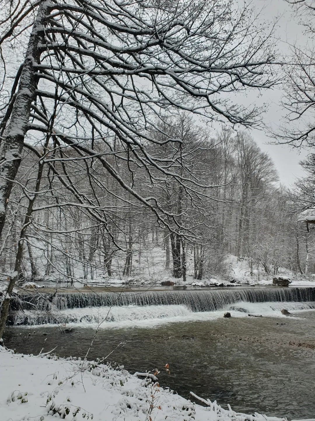 Demirköy’de kartpostallık kış manzarası
Demirköy’de kartpostallık kış manzarası