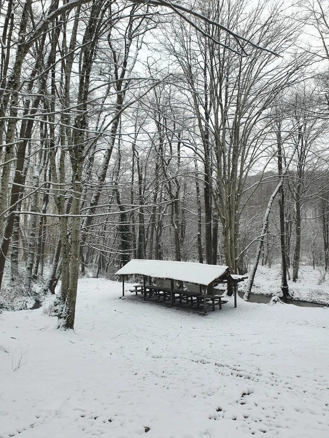 Demirköy’de kartpostallık kış manzarası
Demirköy’de kartpostallık kış manzarası