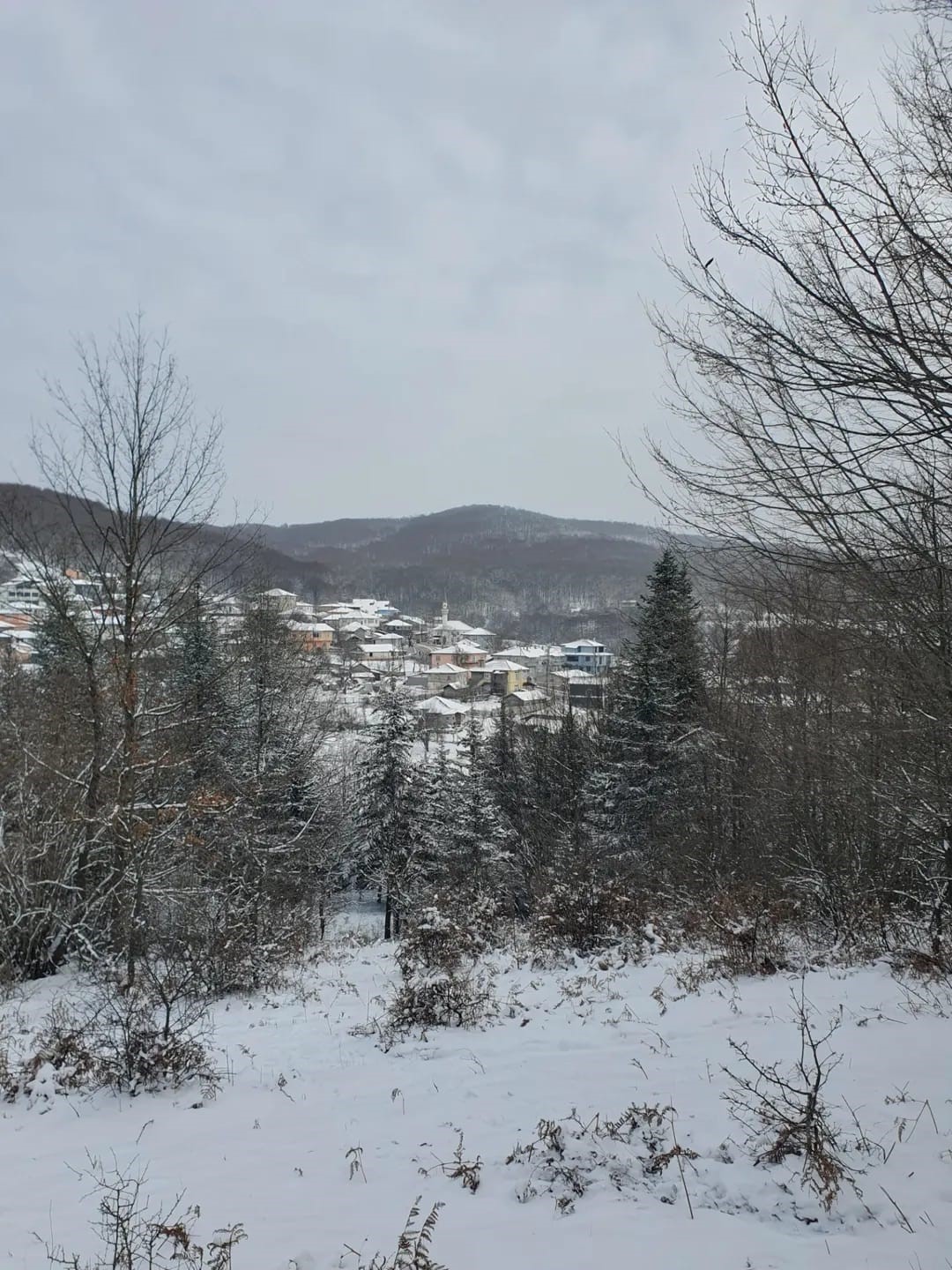 Demirköy’de kartpostallık kış manzarası
Demirköy’de kartpostallık kış manzarası