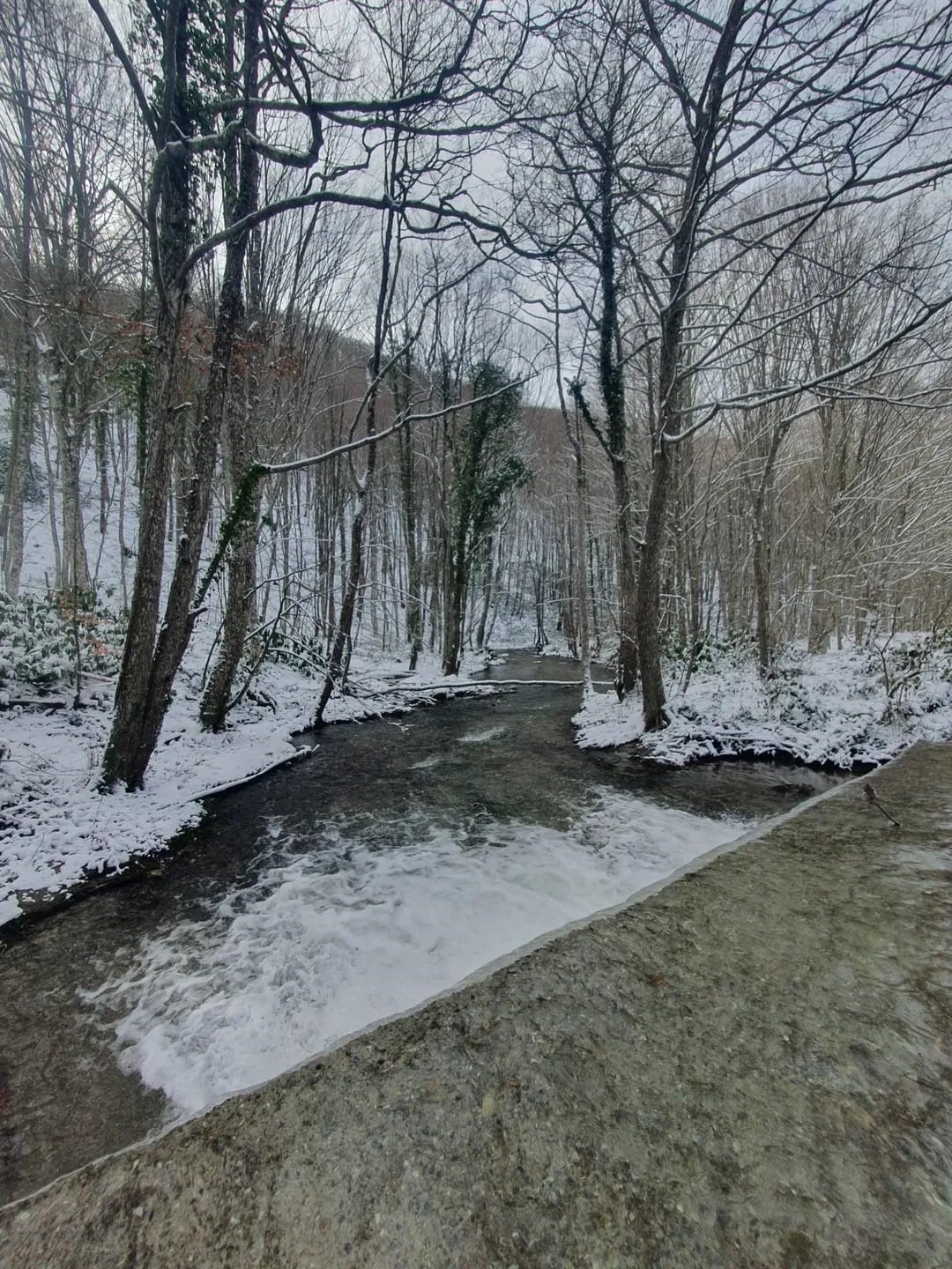 Demirköy’de kartpostallık kış manzarası
Demirköy’de kartpostallık kış manzarası