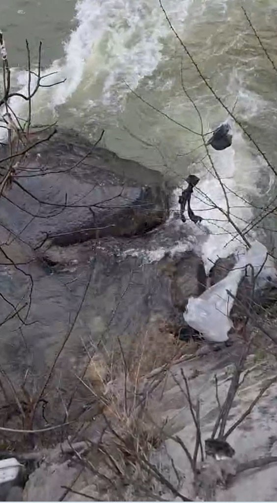 Dereli’de derede mahsur kalan köpek belediye ekiplerince kurtarıldı
Dereli’de derede mahsur kalan köpek belediye ekiplerince kurtarıldı