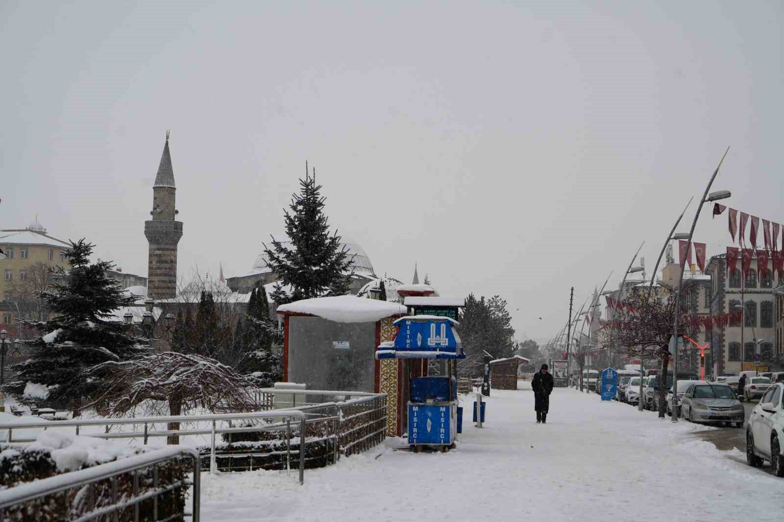 Erzurum’da kar yağışı etkili oluyor
