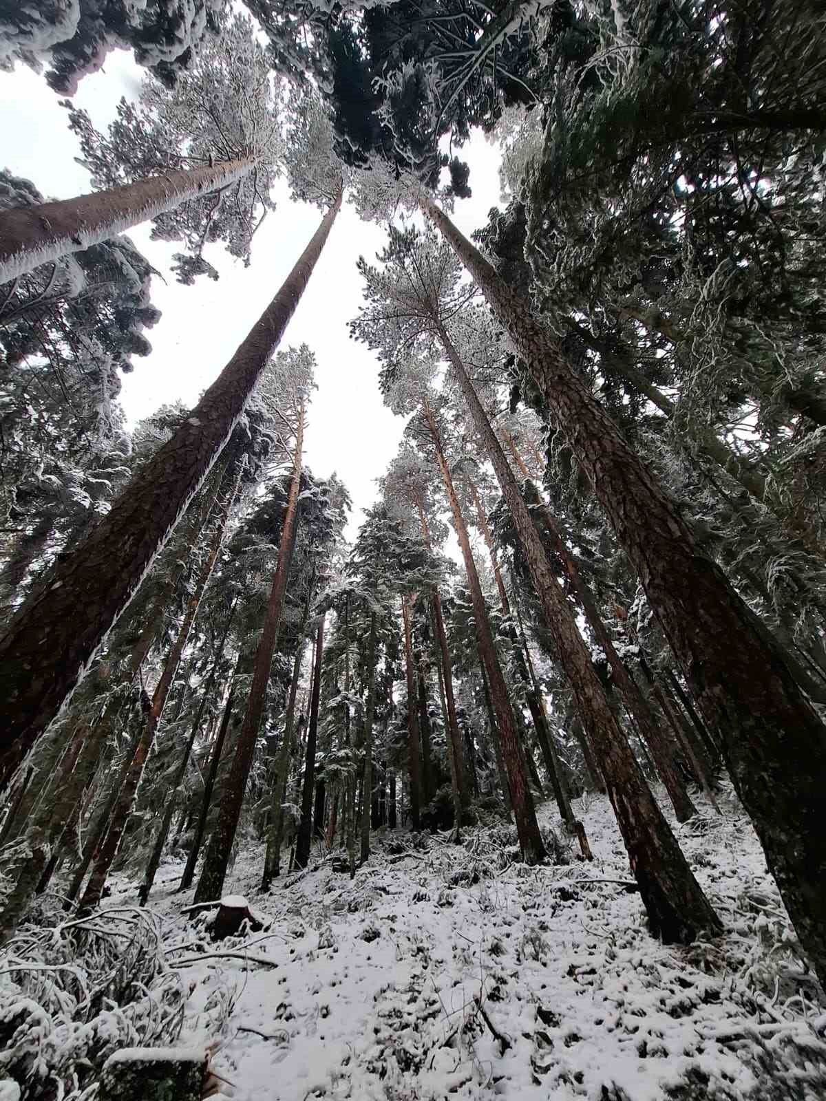 ESDAG üyeleri 30 kilometrelik zorlu orman parkurunu geride bıraktı

