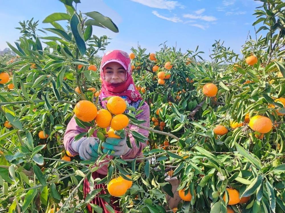 Grip vakaları artıyor; C vitaminini yanlış besinde aramayın
