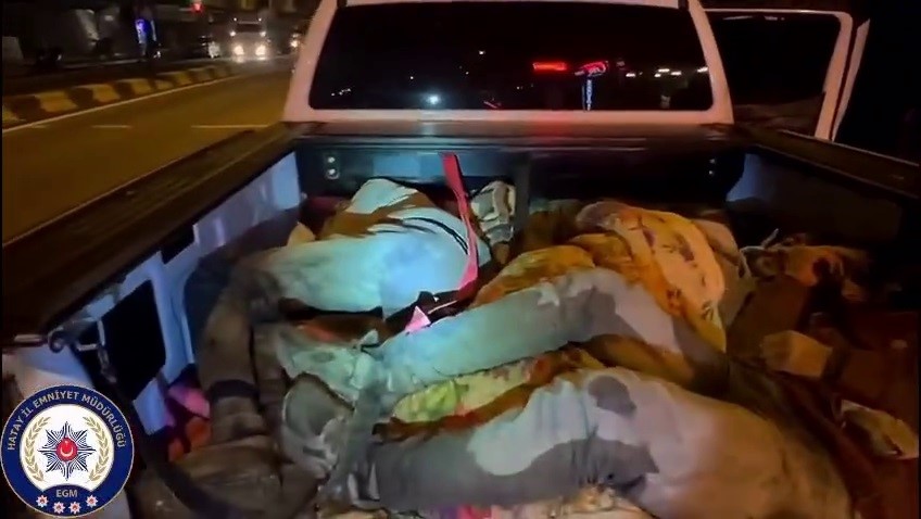 Hatay’da 8 kaçak göçmen yakalandı, 2 organizatör tutuklandı
Hatay’da 8 kaçak göçmen yakalandı, 2 organizatör tutuklandı