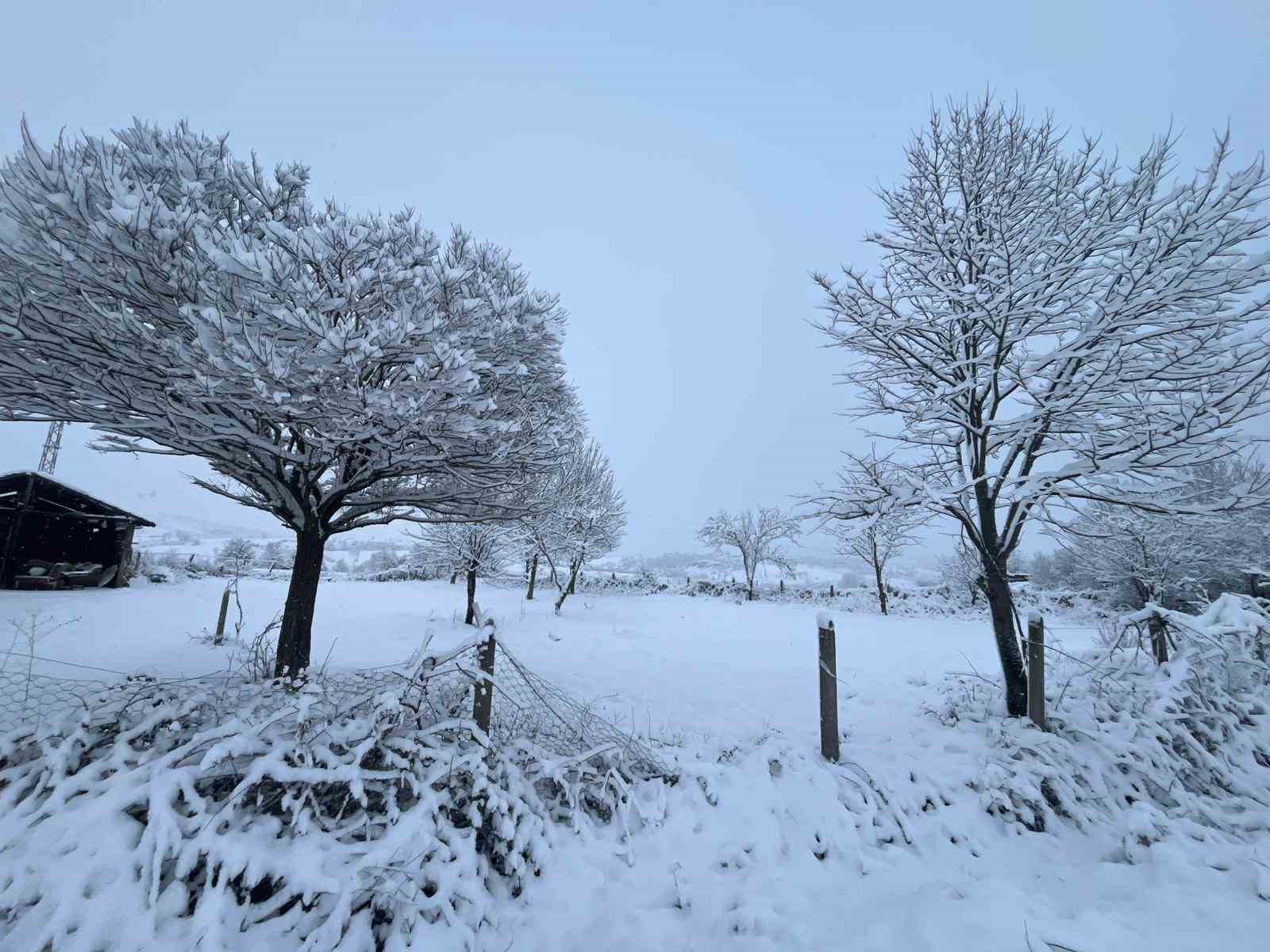 Kavak’ta kar 20 santimetreye ulaştı
Kavak’ta kar 20 santimetreye ulaştı