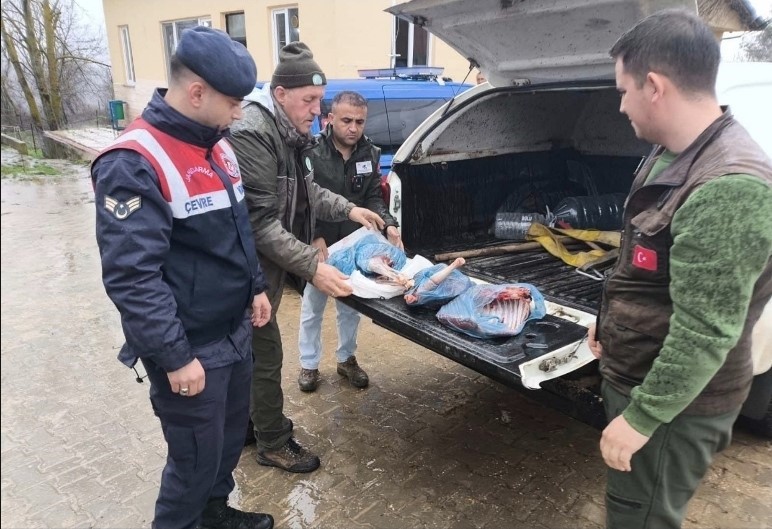 Kırklareli’de yasa dışı karaca avına ağır ceza
Kırklareli’de yasa dışı karaca avına ağır ceza