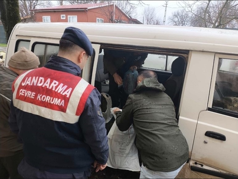 Kırklareli’de yasa dışı karaca avına ağır ceza
Kırklareli’de yasa dışı karaca avına ağır ceza