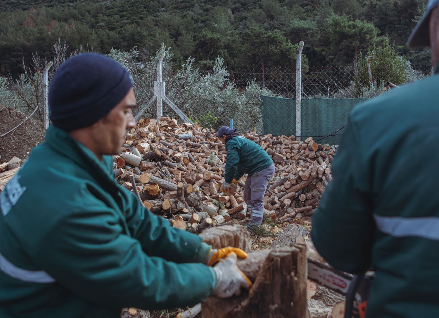 Kuşadası’nda ağaç atıkları ihtiyaç sahipleri için yakacağa dönüşüyor
