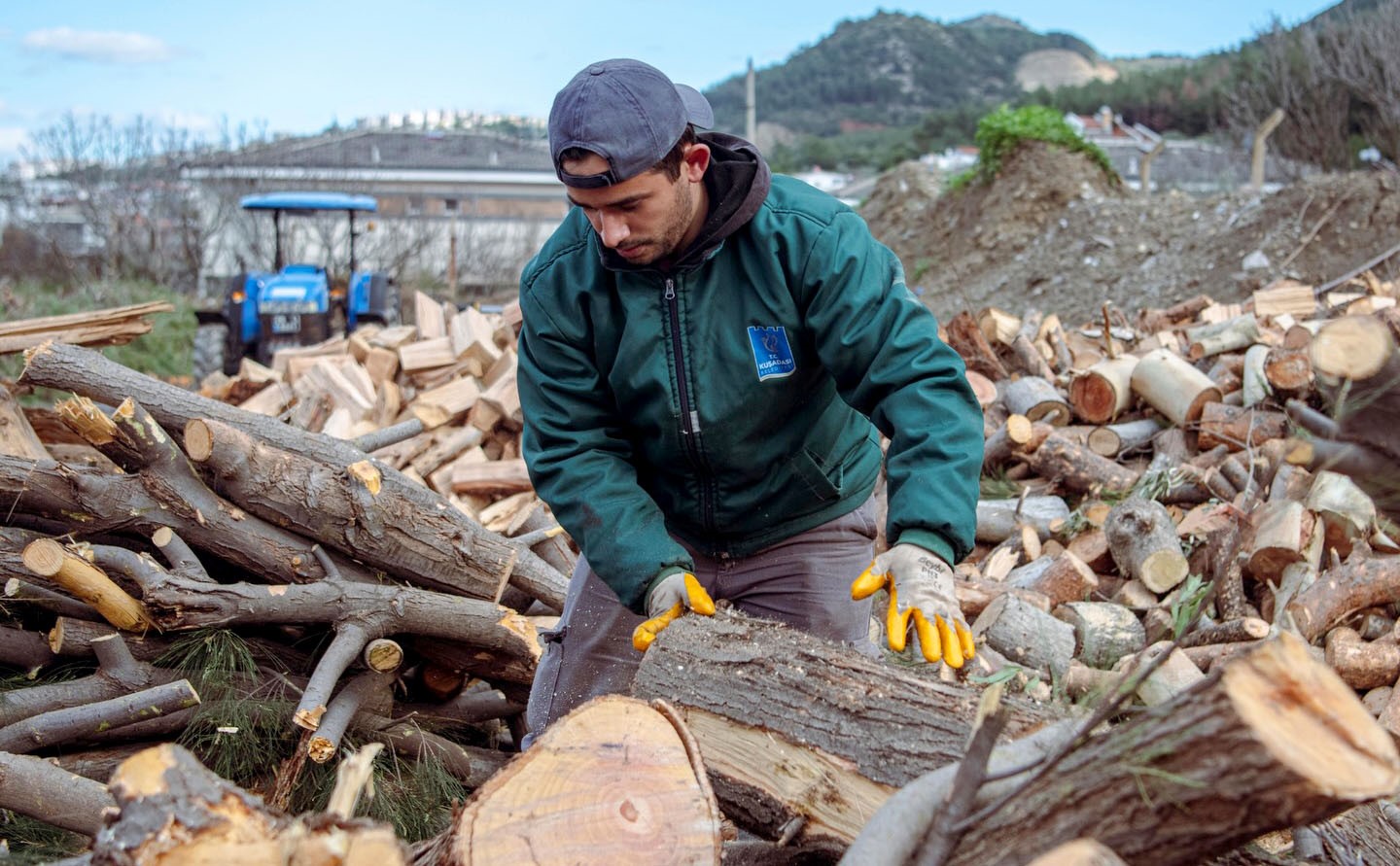 Kuşadası’nda ağaç atıkları ihtiyaç sahipleri için yakacağa dönüşüyor
