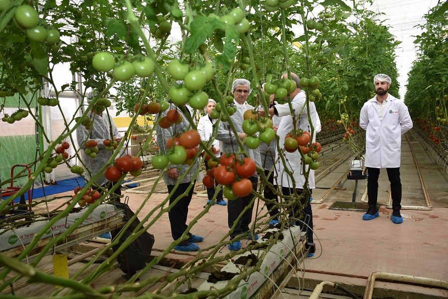 Modern sera yatırımları Salihli’de tarımı güçlendiriyor
Modern sera yatırımları Salihli’de tarımı güçlendiriyor