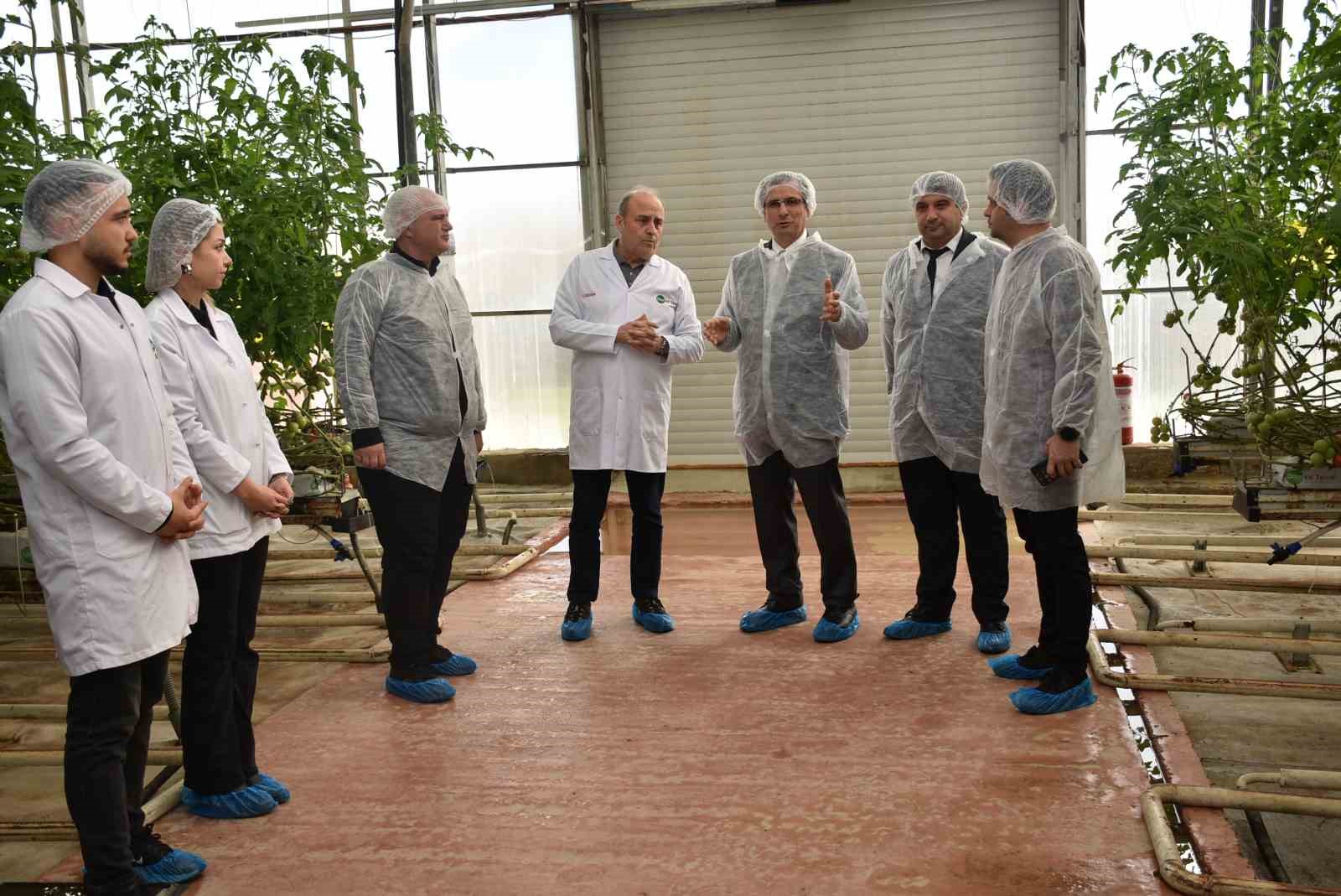 Modern sera yatırımları Salihli’de tarımı güçlendiriyor
Modern sera yatırımları Salihli’de tarımı güçlendiriyor