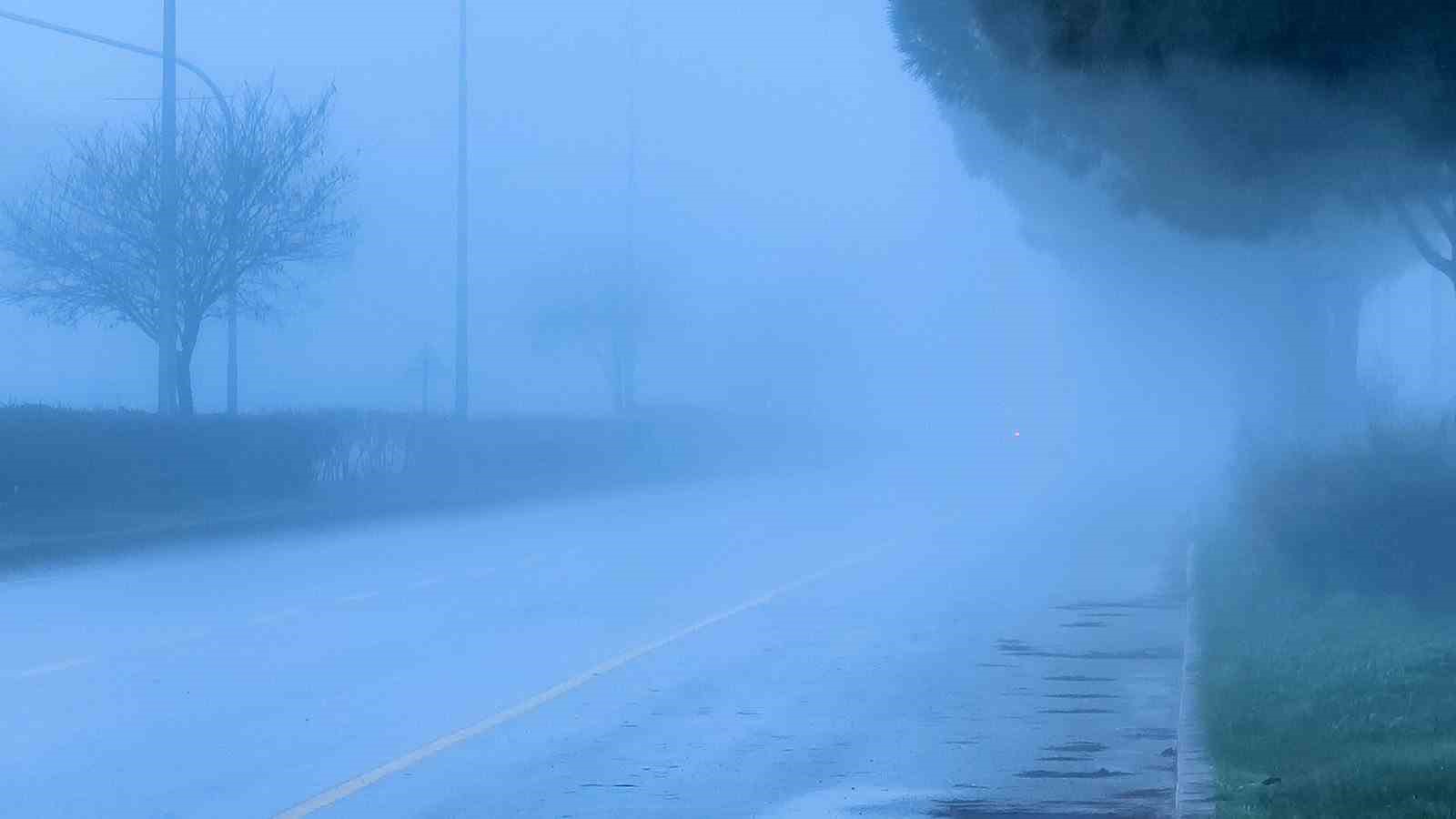Muğla’da yoğun sis etkili oldu
