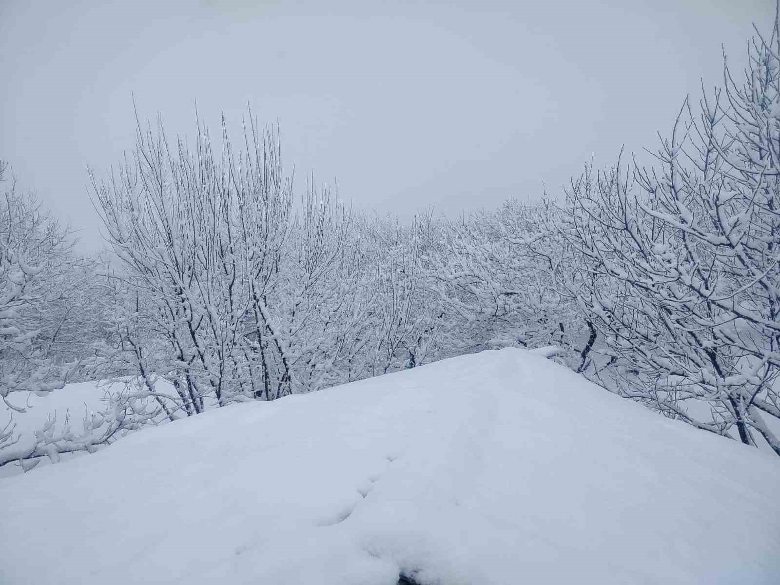 Pütürge’de kar kalınlığı 1 metreye yaklaştı
