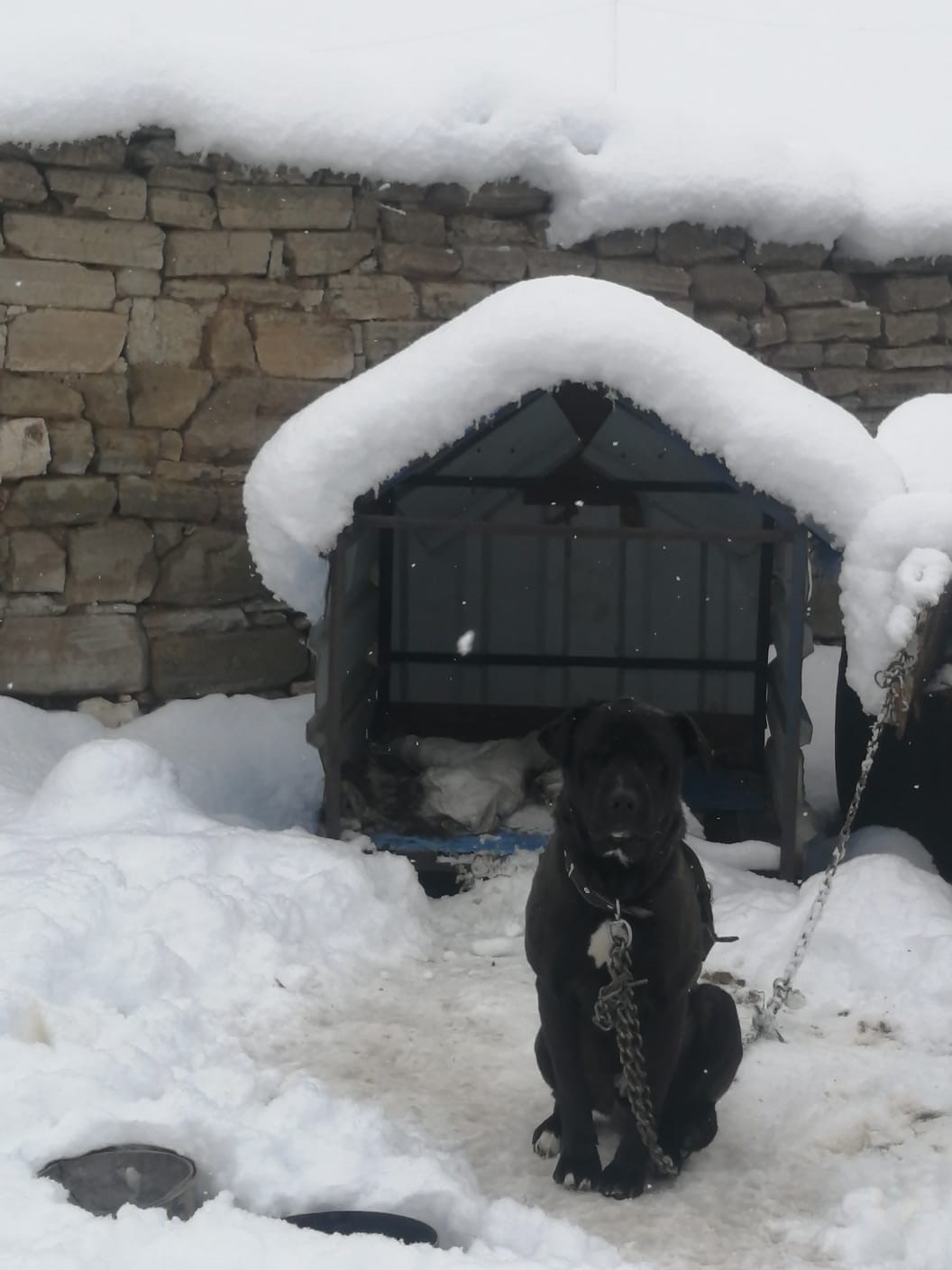Şükranlı’da kar kalınlığı 35 santimetreyi geçti
