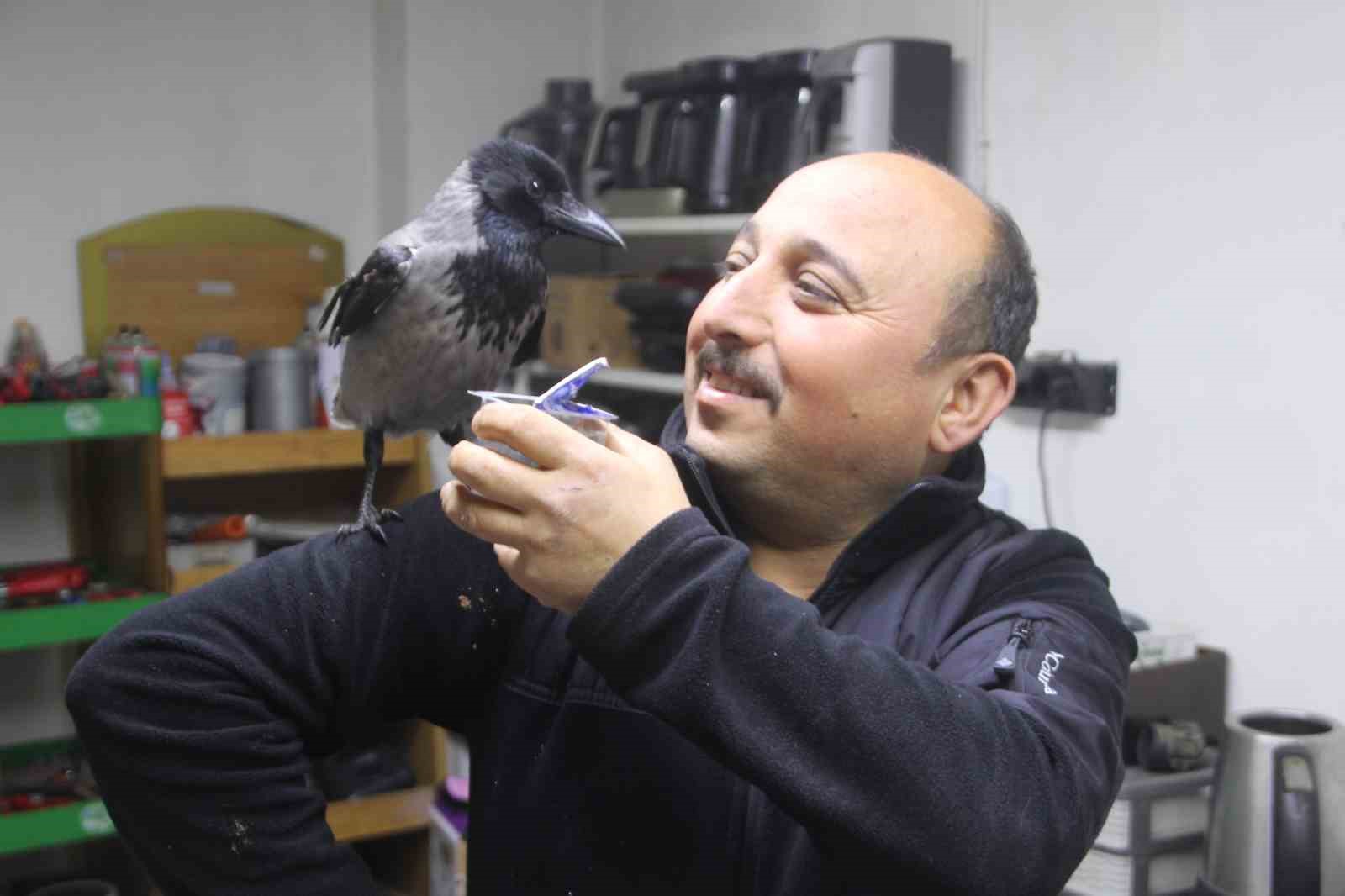 Tamirci çırağı karga
Tamirci çırağı karga