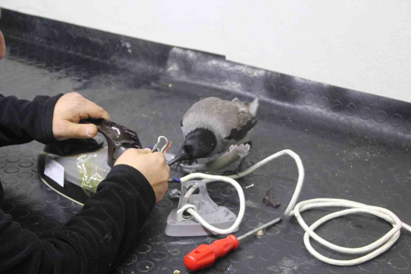 Tamirci çırağı karga
Tamirci çırağı karga