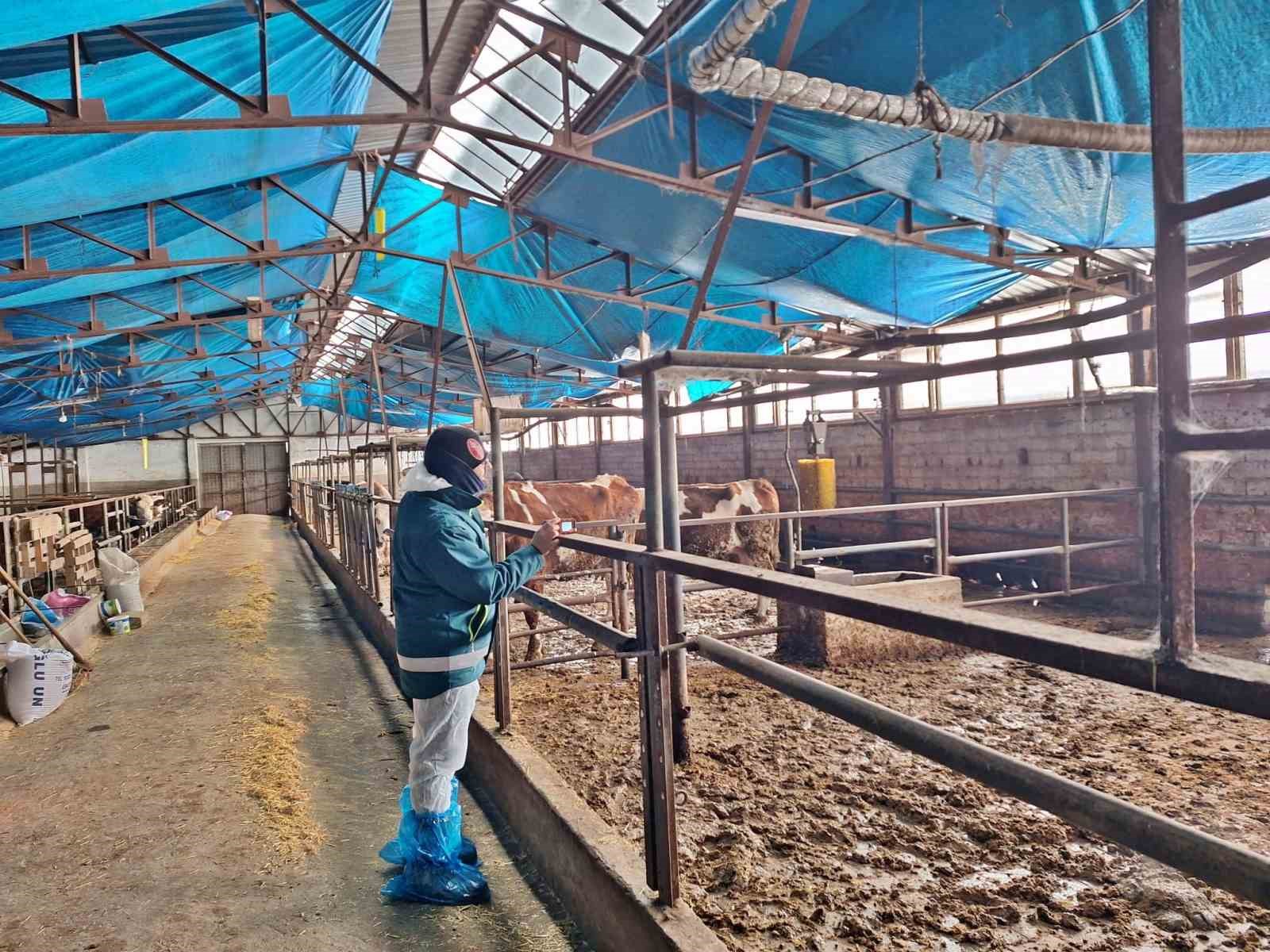 Tavşanlı’da hayvancılık işletmelerine yönelik besilik hayvan kapasite tespit çalışması
Tavşanlı’da hayvancılık işletmelerine yönelik besilik hayvan kapasite tespit çalışması