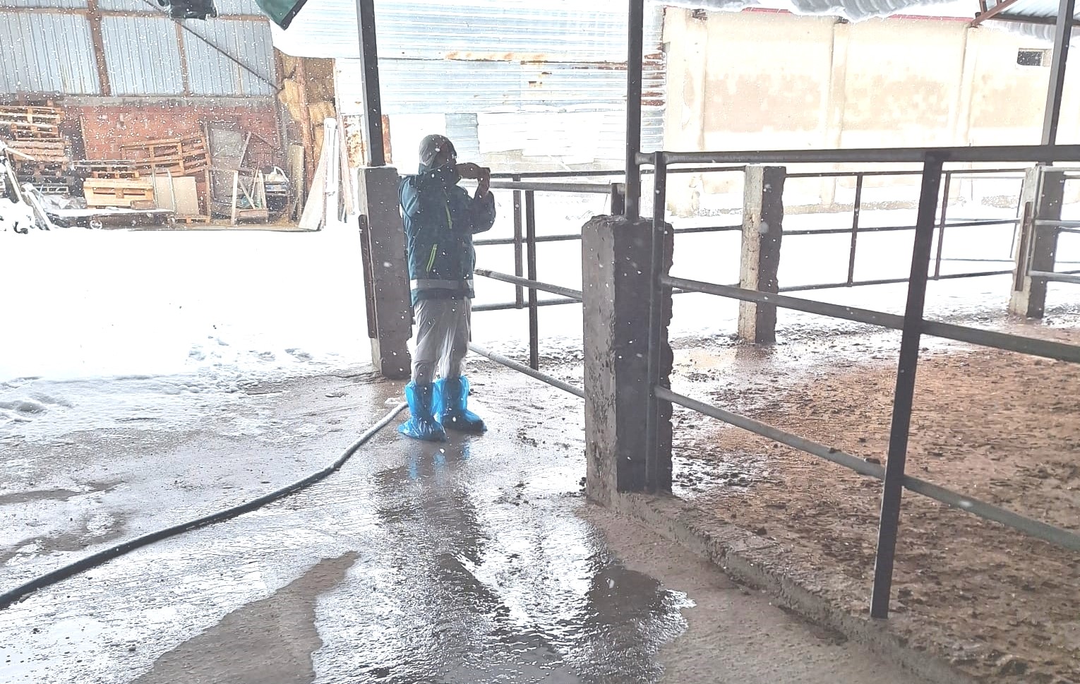 Tavşanlı’da hayvancılık işletmelerine yönelik besilik hayvan kapasite tespit çalışması
Tavşanlı’da hayvancılık işletmelerine yönelik besilik hayvan kapasite tespit çalışması